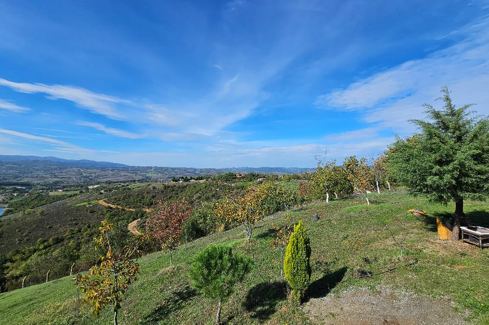KOCAELİ KARAMÜRSELDE SATILIK CEVİZ BAHÇESİ TARLA