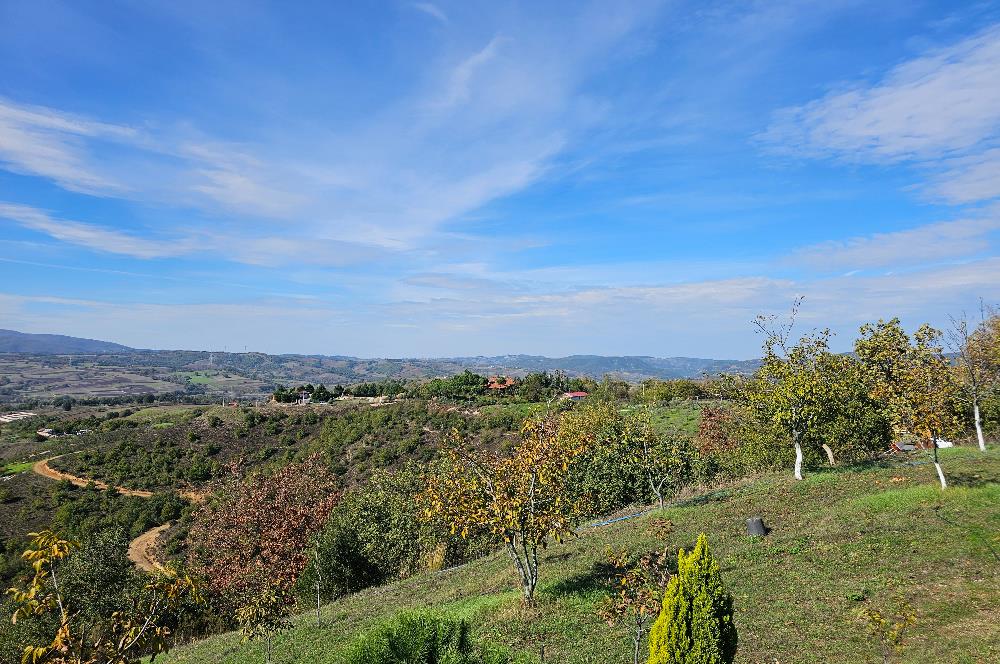 KOCAELİ KARAMÜRSELDE SATILIK CEVİZ BAHÇESİ TARLA