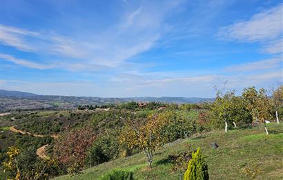 KOCAELİ KARAMÜRSELDE SATILIK CEVİZ BAHÇESİ TARLA