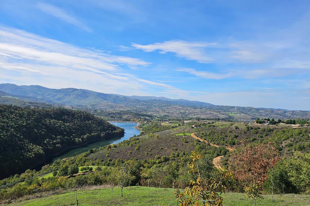 KOCAELİ KARAMÜRSELDE SATILIK CEVİZ BAHÇESİ TARLA