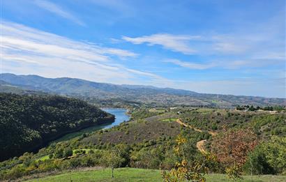 KOCAELİ KARAMÜRSELDE SATILIK CEVİZ BAHÇESİ TARLA