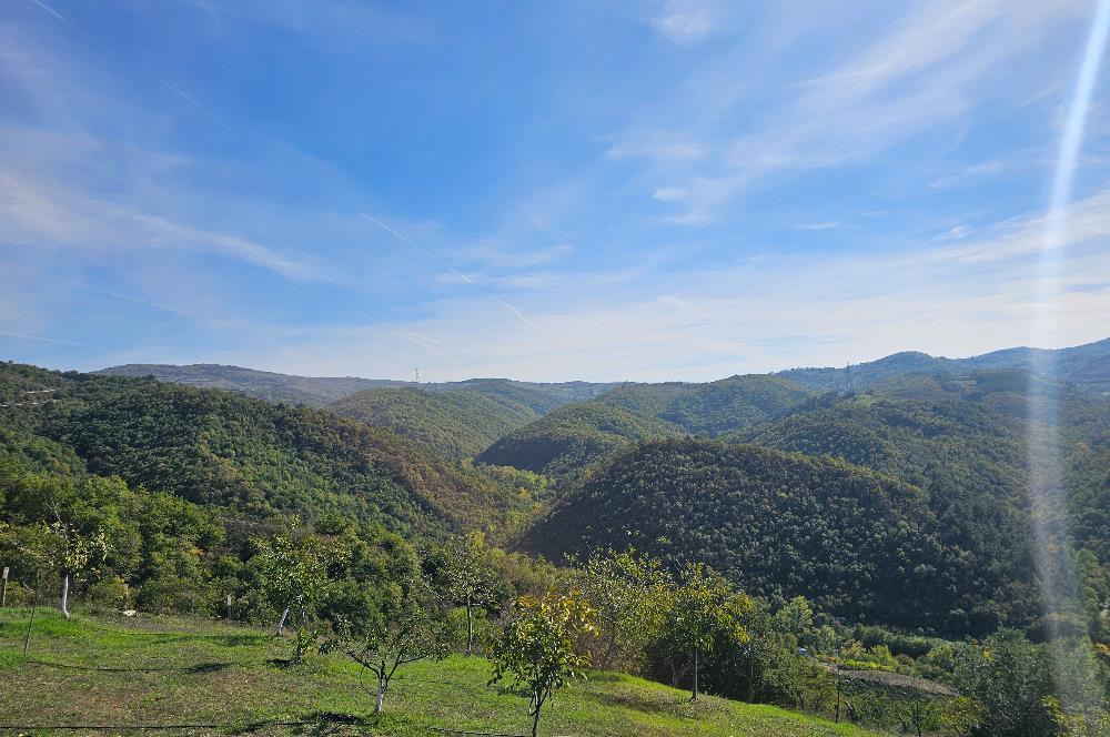 KOCAELİ KARAMÜRSELDE SATILIK CEVİZ BAHÇESİ TARLA