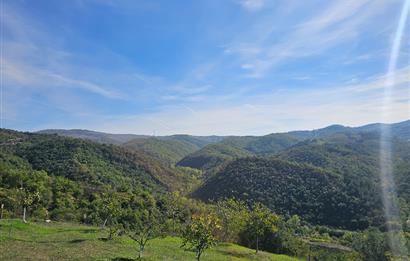 KOCAELİ KARAMÜRSELDE SATILIK CEVİZ BAHÇESİ TARLA