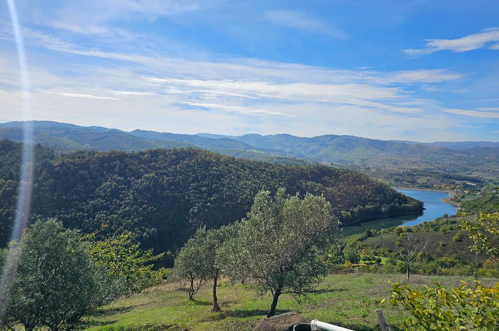 KOCAELİ KARAMÜRSELDE SATILIK CEVİZ BAHÇESİ TARLA