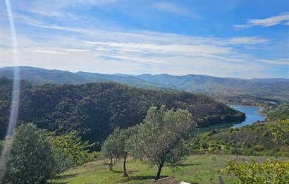 KOCAELİ KARAMÜRSELDE SATILIK CEVİZ BAHÇESİ TARLA