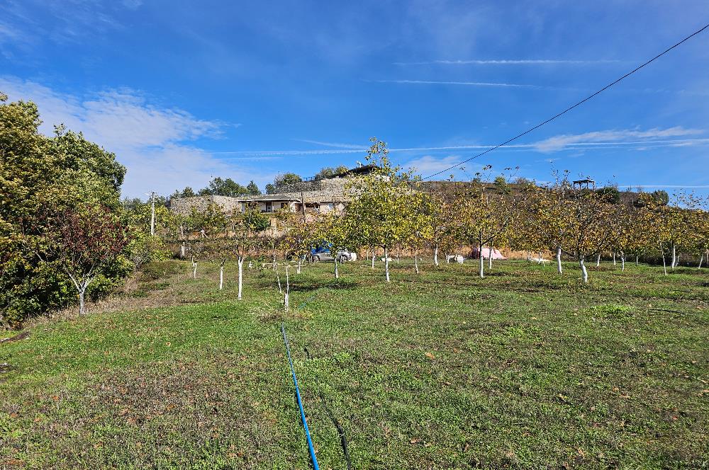 KOCAELİ KARAMÜRSELDE SATILIK CEVİZ BAHÇESİ TARLA