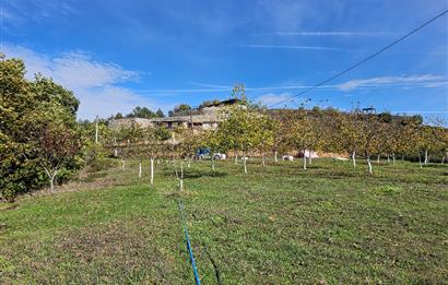 KOCAELİ KARAMÜRSELDE SATILIK CEVİZ BAHÇESİ TARLA