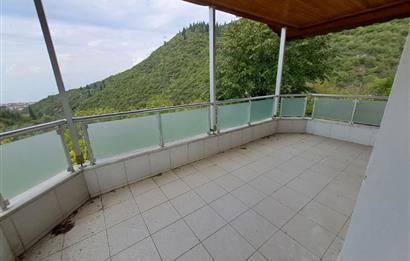 4 DÖNÜM ZEYTİNLİK İÇERİSİNDE SATILIK KAHVALTI SALONU VE BİNASI