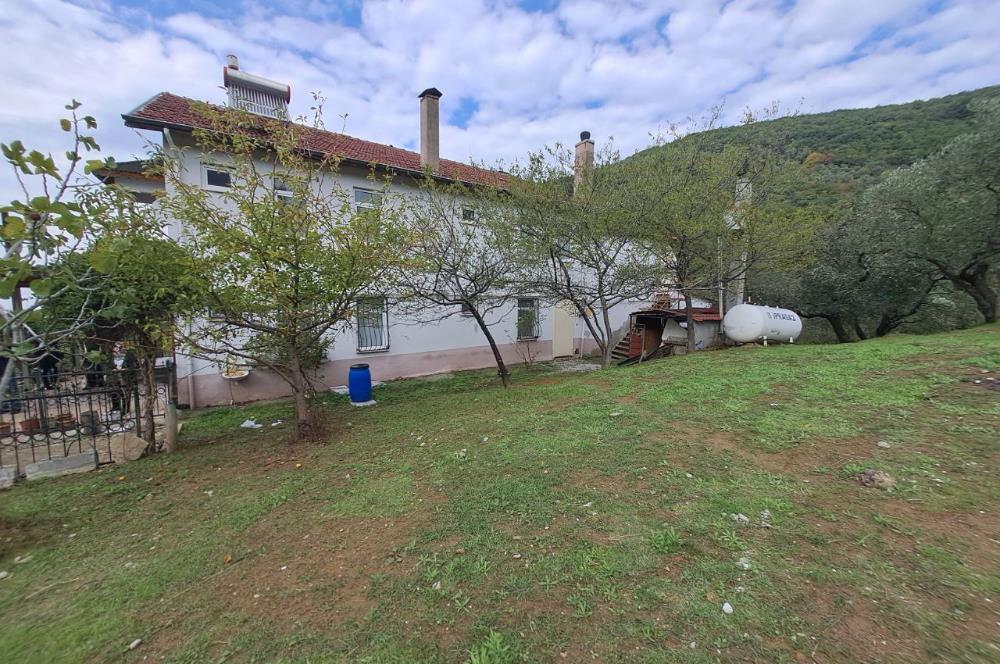 4 DÖNÜM ZEYTİNLİK İÇERİSİNDE SATILIK KAHVALTI SALONU VE BİNASI