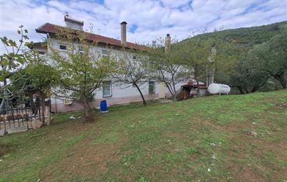 4 DÖNÜM ZEYTİNLİK İÇERİSİNDE SATILIK KAHVALTI SALONU VE BİNASI