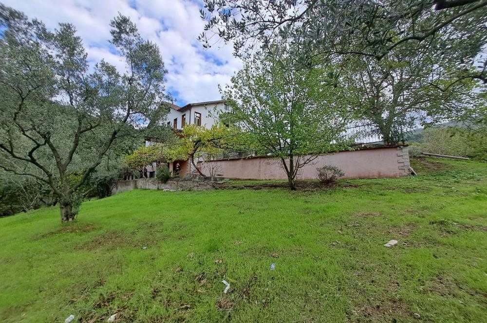 4 DÖNÜM ZEYTİNLİK İÇERİSİNDE SATILIK KAHVALTI SALONU VE BİNASI