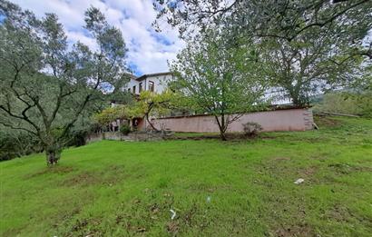 4 DÖNÜM ZEYTİNLİK İÇERİSİNDE SATILIK KAHVALTI SALONU VE BİNASI