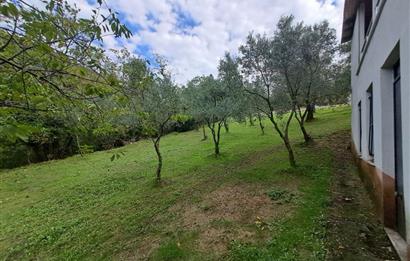 4 DÖNÜM ZEYTİNLİK İÇERİSİNDE SATILIK KAHVALTI SALONU VE BİNASI