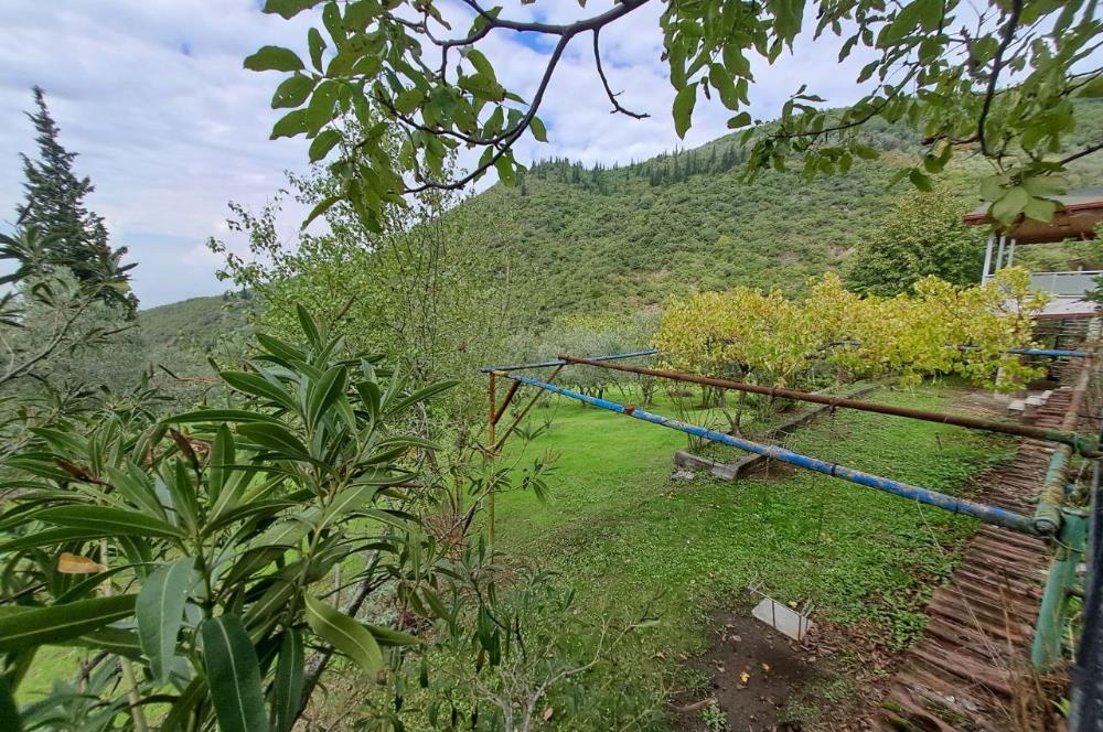 4 DÖNÜM ZEYTİNLİK İÇERİSİNDE SATILIK KAHVALTI SALONU VE BİNASI