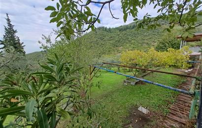 4 DÖNÜM ZEYTİNLİK İÇERİSİNDE SATILIK KAHVALTI SALONU VE BİNASI