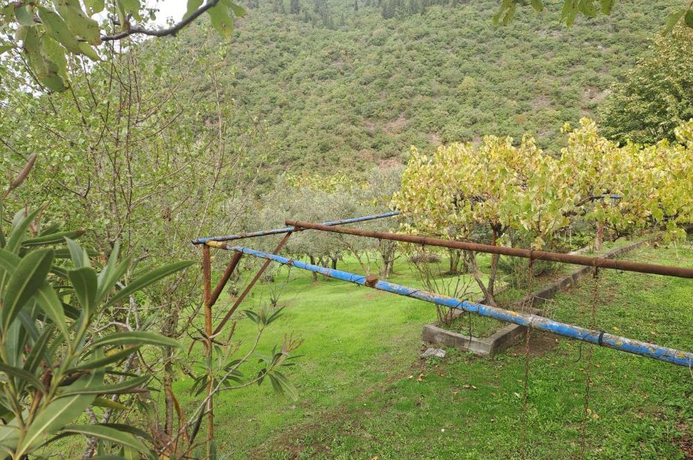 4 DÖNÜM ZEYTİNLİK İÇERİSİNDE SATILIK KAHVALTI SALONU VE BİNASI