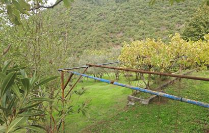 4 DÖNÜM ZEYTİNLİK İÇERİSİNDE SATILIK KAHVALTI SALONU VE BİNASI