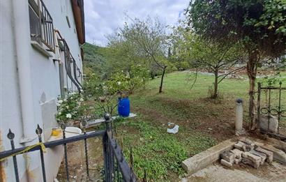 4 DÖNÜM ZEYTİNLİK İÇERİSİNDE SATILIK KAHVALTI SALONU VE BİNASI