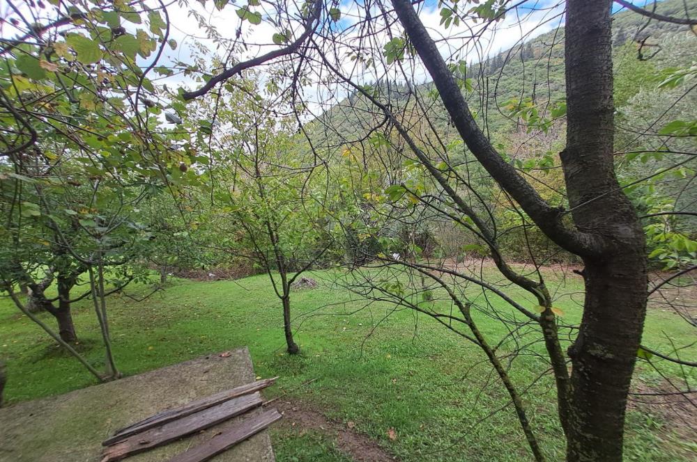 4 DÖNÜM ZEYTİNLİK İÇERİSİNDE SATILIK KAHVALTI SALONU VE BİNASI