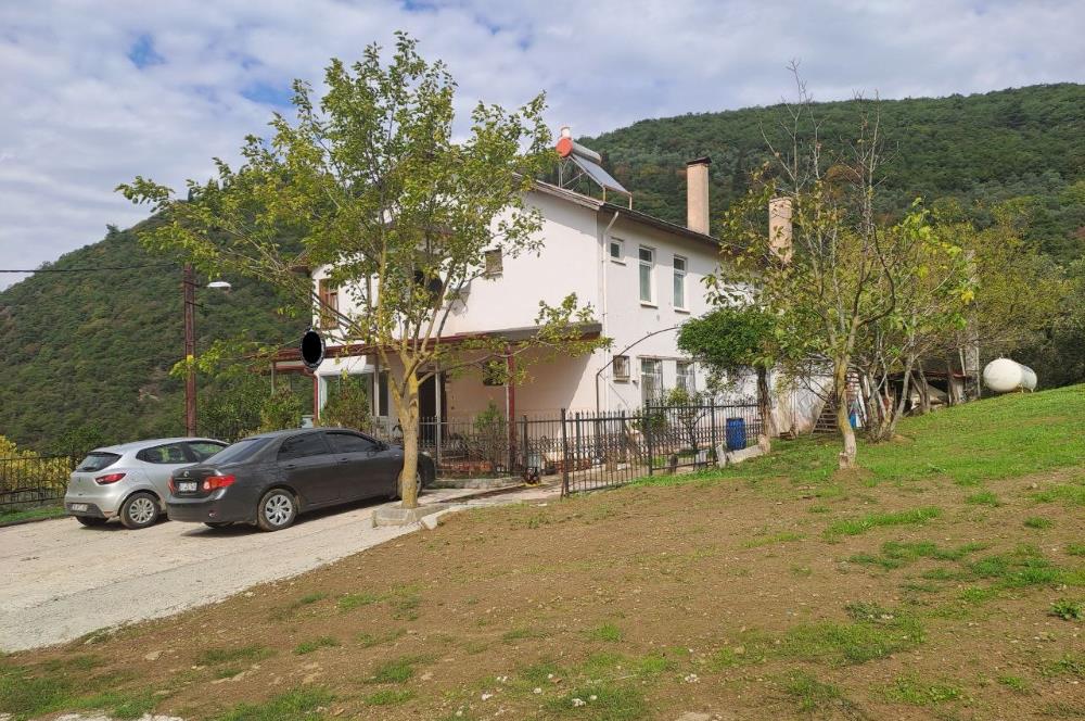 4 DÖNÜM ZEYTİNLİK İÇERİSİNDE SATILIK KAHVALTI SALONU VE BİNASI