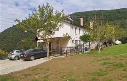 4 DÖNÜM ZEYTİNLİK İÇERİSİNDE SATILIK KAHVALTI SALONU VE BİNASI