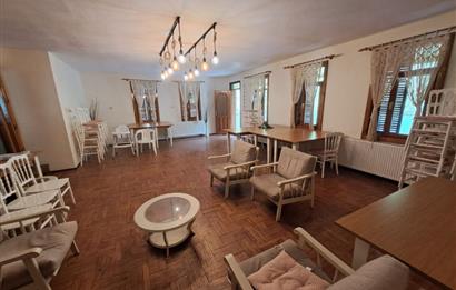 4 DÖNÜM ZEYTİNLİK İÇERİSİNDE SATILIK KAHVALTI SALONU VE BİNASI