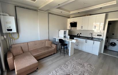 BAL OFİS'ten PLEVNE MAH. 1+1 daire ŞEHİT BİROL KOÇ CAD.