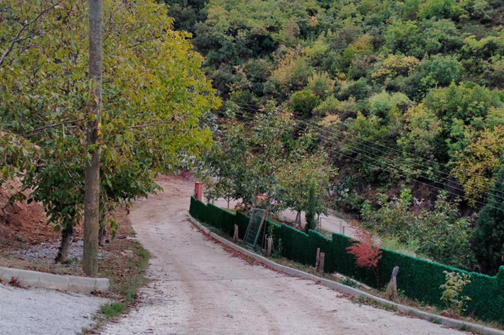 4 DÖNÜM ZEYTİNLİK İÇERİSİNDE SATILIK KAHVALTI SALONU VE BİNASI