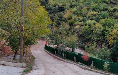 4 DÖNÜM ZEYTİNLİK İÇERİSİNDE SATILIK KAHVALTI SALONU VE BİNASI