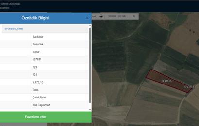 CENTRUY 21 BAL'DAN  SUSURLUK YILDIZ MAHALLESİ SATILIK TARLA