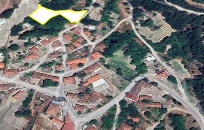 C21 BAL'dan ALTIEYLÜL KİRAZPINAR KÖYÜNDE SATILIK ARSA