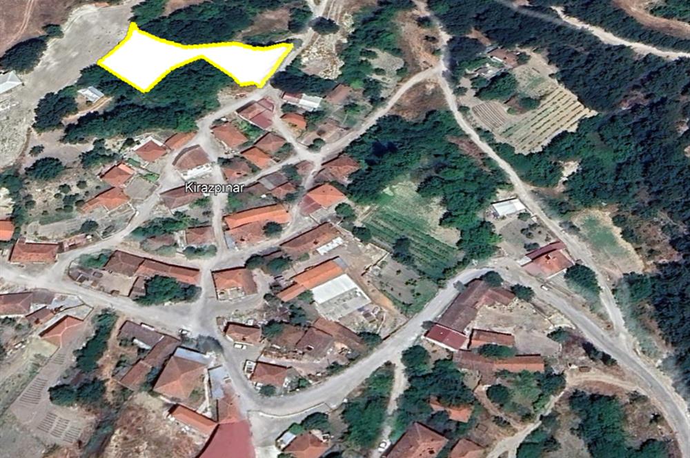 C21 BAL'dan ALTIEYLÜL KİRAZPINAR KÖYÜNDE SATILIK ARSA