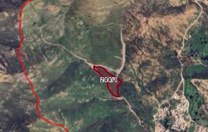 Bodrum Gümüşlük Dereköy'de Satılık Tarla Kooperatif Hissesi 