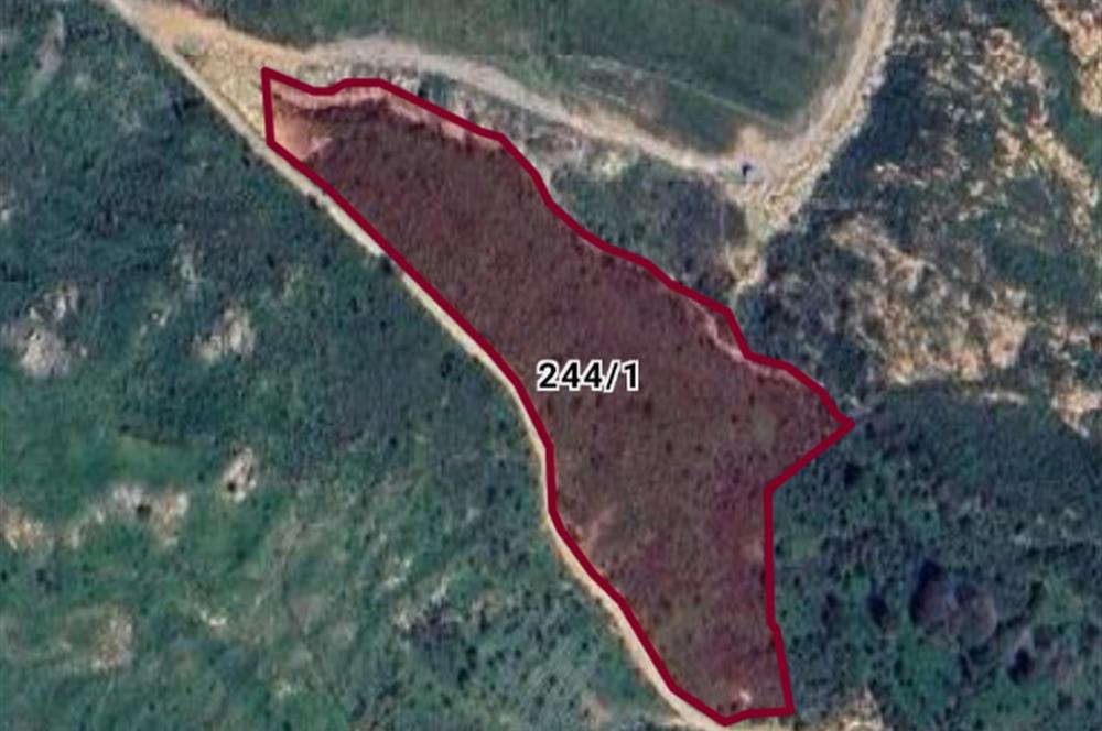 Bodrum Gümüşlük Dereköy'de Satılık Tarla Kooperatif Hissesi 