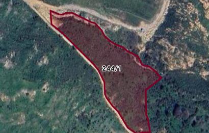 Bodrum Gümüşlük Dereköy'de Satılık Tarla Kooperatif Hissesi 