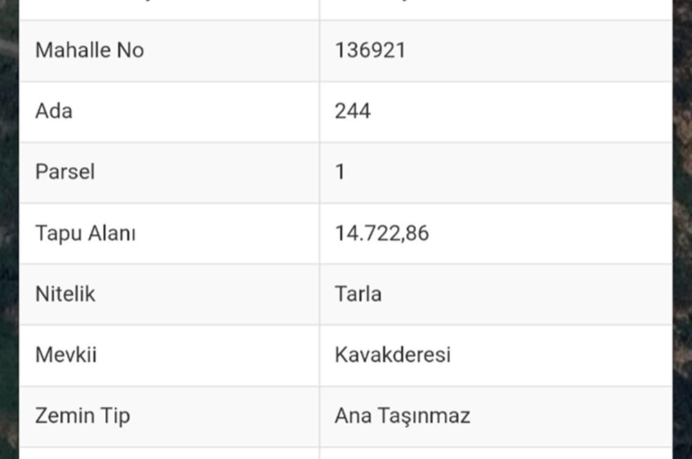 Bodrum Gümüşlük Dereköy'de Satılık Tarla Kooperatif Hissesi 