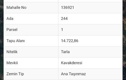 Bodrum Gümüşlük Dereköy'de Satılık Tarla Kooperatif Hissesi 
