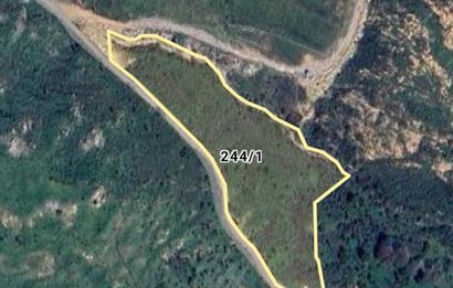 Bodrum Gümüşlük Dereköy'de Satılık Tarla Kooperatif Hissesi 