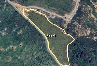 Bodrum Gümüşlük Dereköy'de Satılık Tarla Kooperatif Hissesi  - 1 - 29310