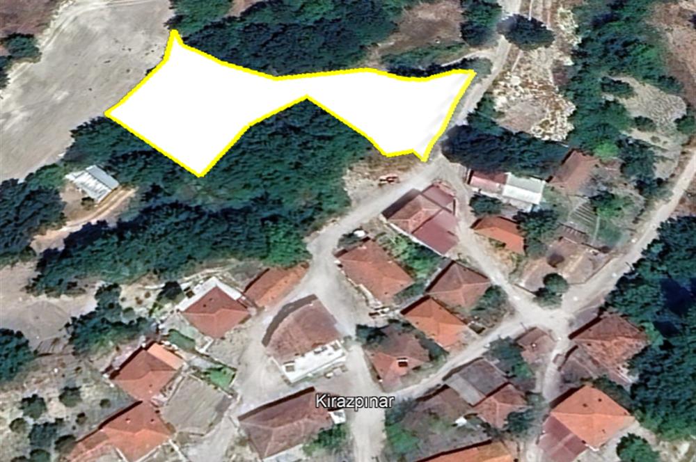 C21 BAL'dan ALTIEYLÜL KİRAZPINAR KÖYÜNDE SATILIK ARSA