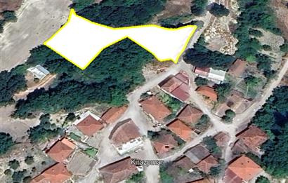 C21 BAL'dan ALTIEYLÜL KİRAZPINAR KÖYÜNDE SATILIK ARSA