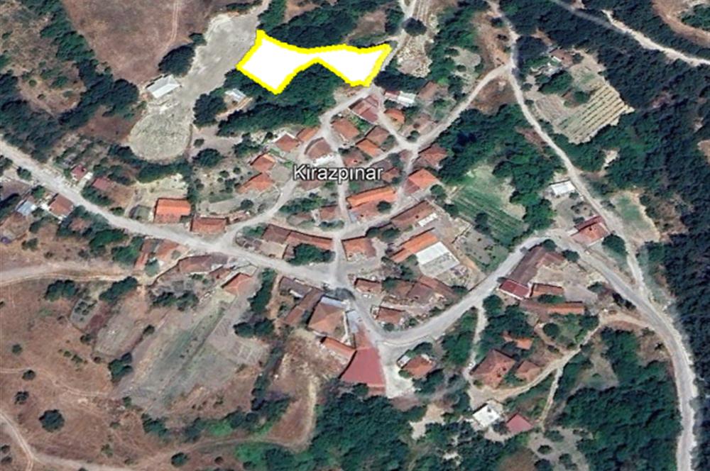 C21 BAL'dan ALTIEYLÜL KİRAZPINAR KÖYÜNDE SATILIK ARSA