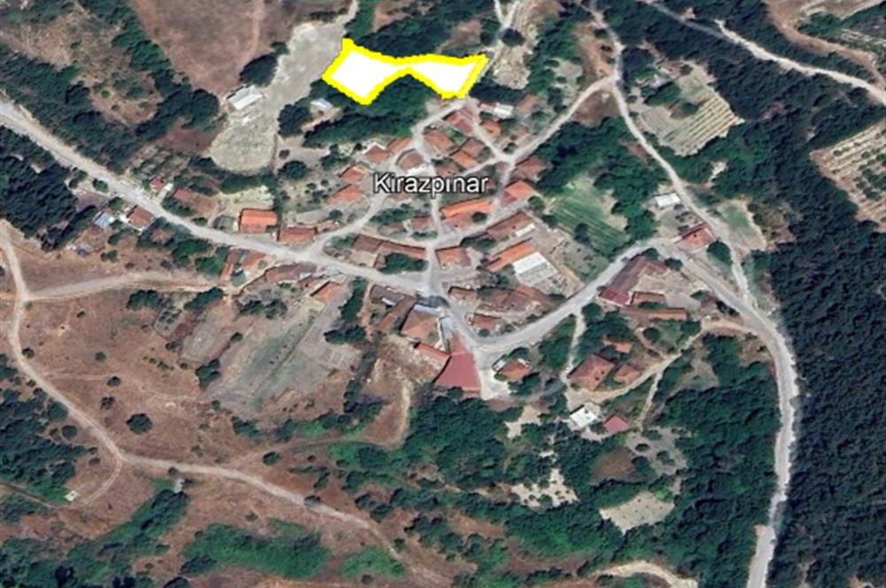 C21 BAL'dan ALTIEYLÜL KİRAZPINAR KÖYÜNDE SATILIK ARSA