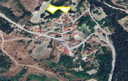 C21 BAL'dan ALTIEYLÜL KİRAZPINAR KÖYÜNDE SATILIK ARSA