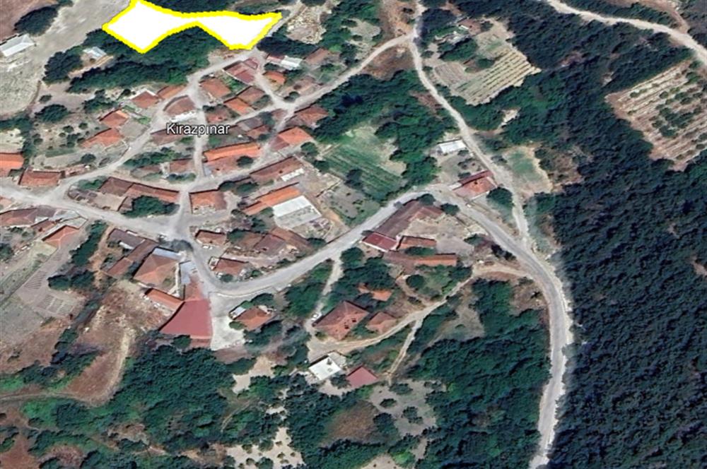 C21 BAL'dan ALTIEYLÜL KİRAZPINAR KÖYÜNDE SATILIK ARSA