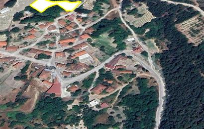 C21 BAL'dan ALTIEYLÜL KİRAZPINAR KÖYÜNDE SATILIK ARSA