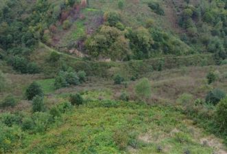 ARSİN YEŞİLYALI SATILIK ARAZİ - 1 - 29312