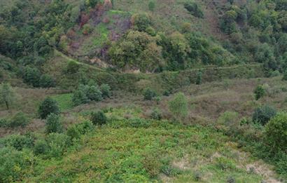 ARSİN YEŞİLYALI SATILIK ARAZİ