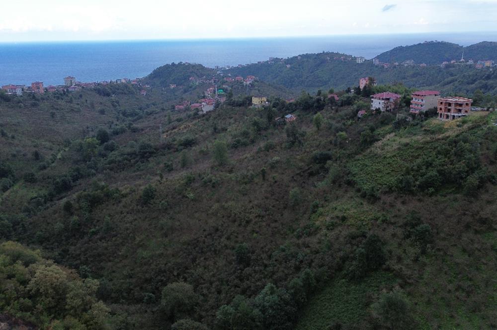 ARSİN YEŞİLYALI SATILIK ARAZİ