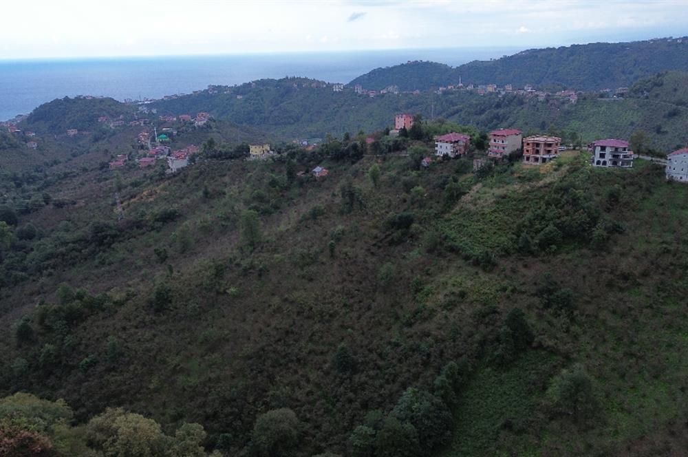 ARSİN YEŞİLYALI SATILIK ARAZİ